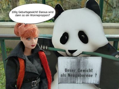 (1) Luzys Erlebnisse im Wiener Zoo (1)