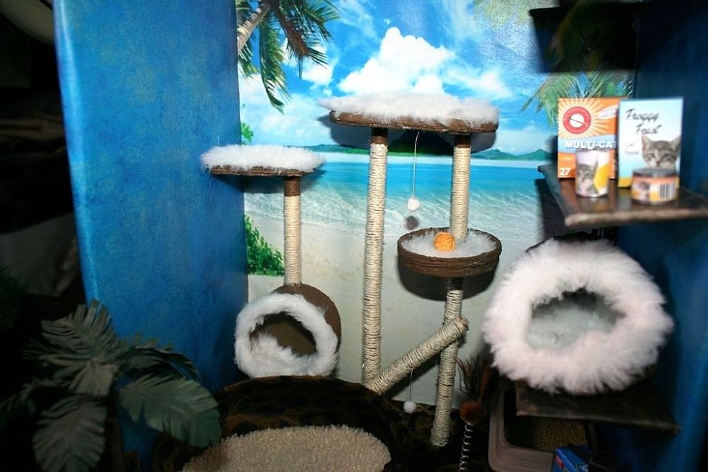 Cat Paradise Shop 05