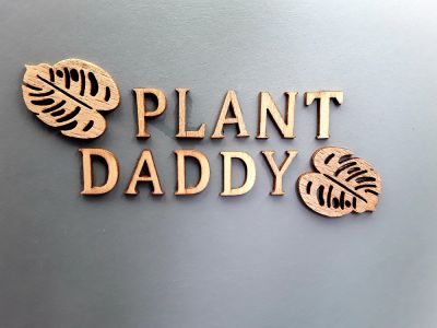 05 "Plant Daddy"
