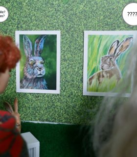 Hasenausstellung 04