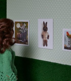 Hasenausstellung 12